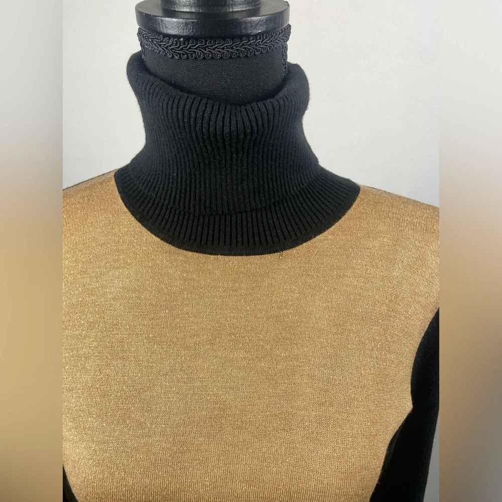 The Limited turtleneck sweater